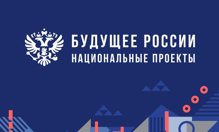 В России стартуют 19 национальных проектов, которые касаются практически всех сфер – от образования до экологии.