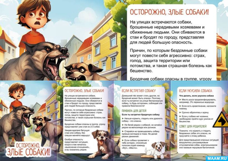 Памятка МЧС России: что рассказать ребенку о бродячих собаках?.